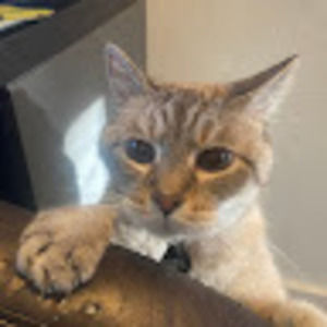 Meet your Posher, Jill